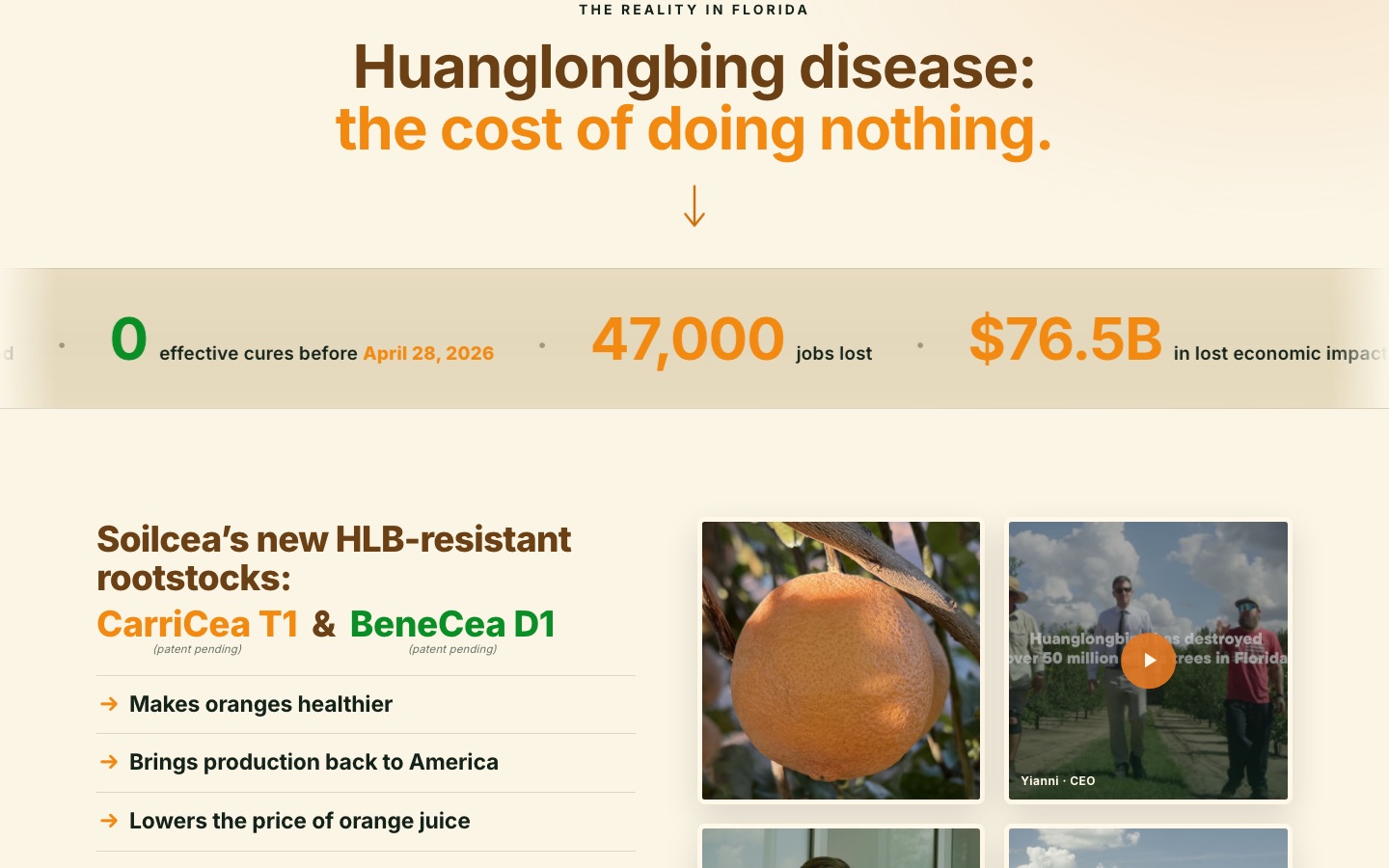 soilcea.com: Huanglongbing disease, the cost of doing nothing, with 47,000 jobs lost and $76.5B in lost economic impact