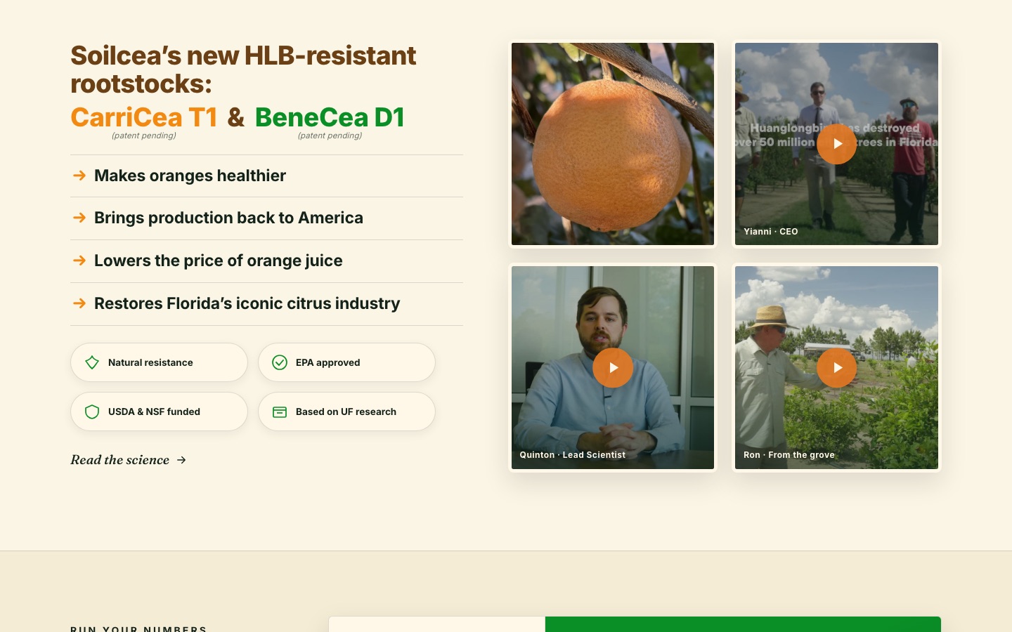 soilcea.com: the CarriCea T1 and BeneCea D1 rootstocks beside grower videos